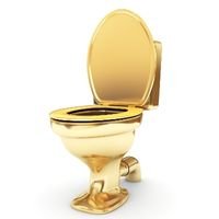 Buy Golden Toilet
