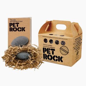 Buy Pet Rock