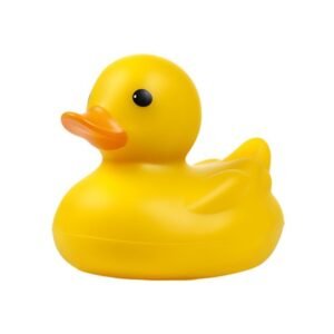 Buy Rubber Duck
